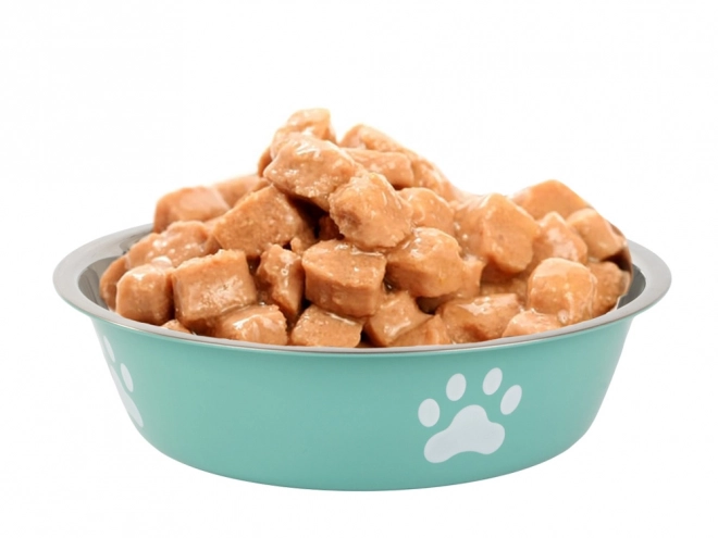 Grote metalen waterbak voor honden en katten