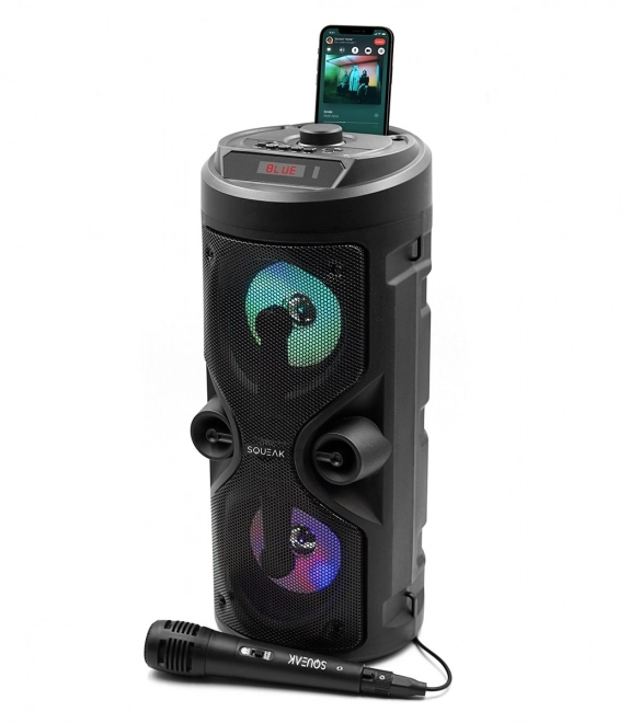 Bluetooth-luidspreker Harmony met karaoke-functie