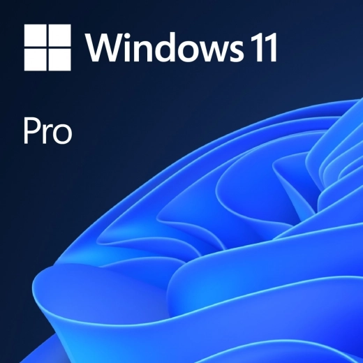 OEM Windows 11 Pro DVD