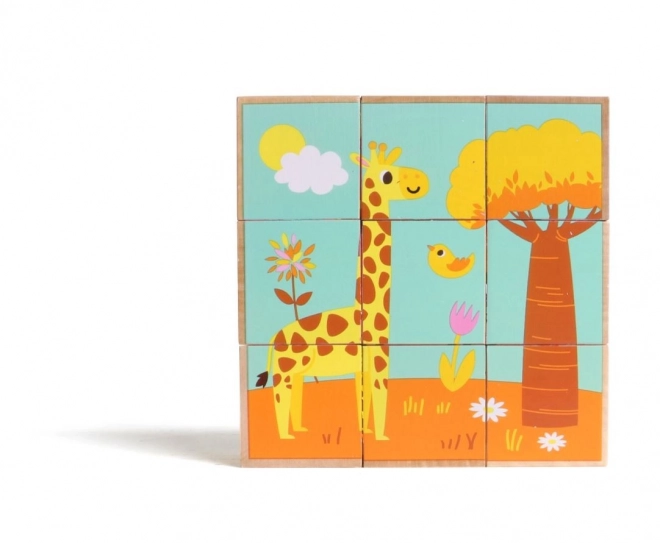 Houten Blokken Dieren Wild Gekleurd