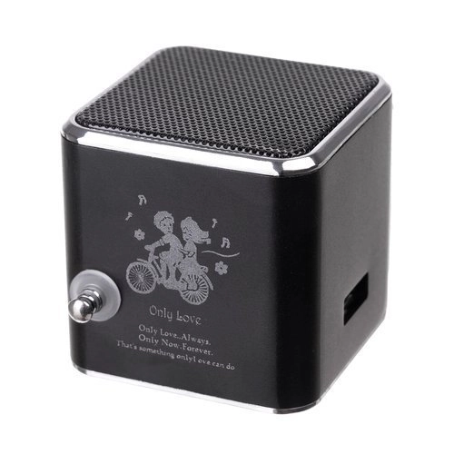 Draagbare Bluetooth-luidspreker met radio en LCD-scherm TD-V26