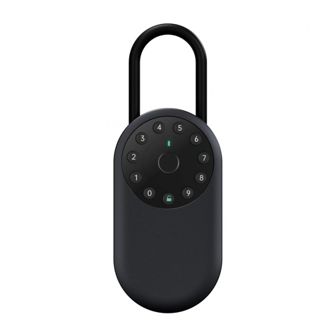 Slimme kluis met vingerafdrukscanner Lockin YEEUU