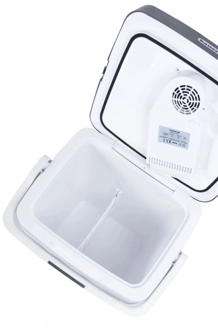 Draagbare autokoelkast met verwarming, 29L, grafietkleurig