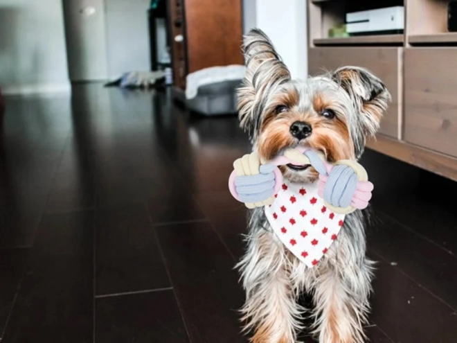 Trekkoord voor honden met touw en ballen