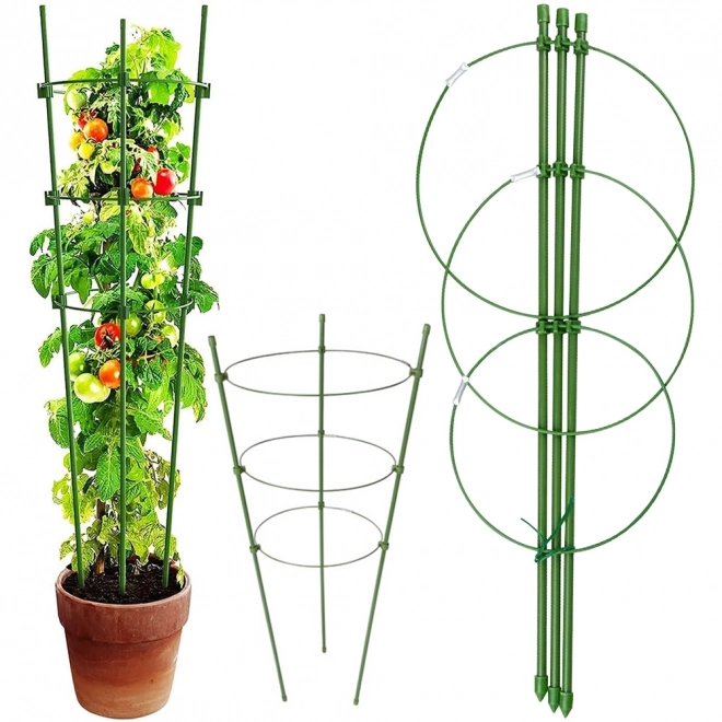 Bloemenring Ronde Plant Ondersteuning