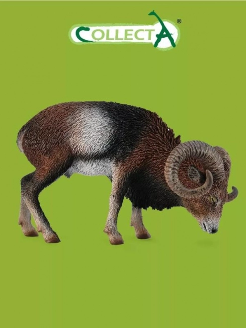 Europese moeflon