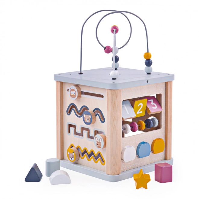 Bigjigs Baby Motorische Kubus