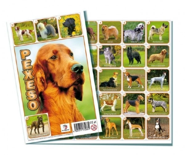 Pexeso Honden gezelschapsspel