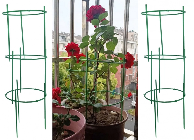 Ronde steunen voor het kweken van planten in potten