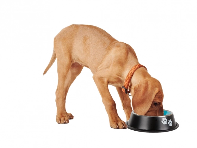 Antislip kom voor honden van roestvrij staal 1l