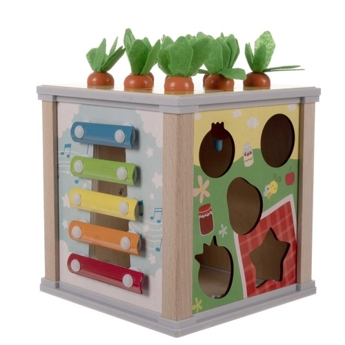 Houten educatieve kubus 5-in-1 voor kinderen