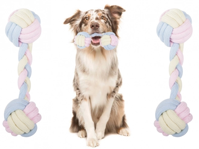 Trekkoord voor honden met touw en ballen