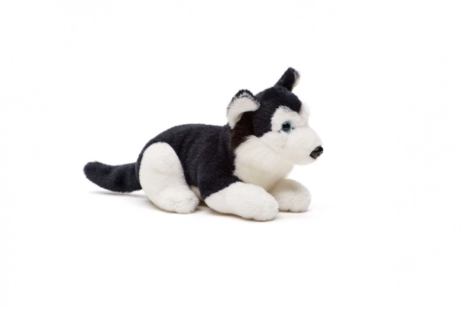 Pluchen husky 15 cm