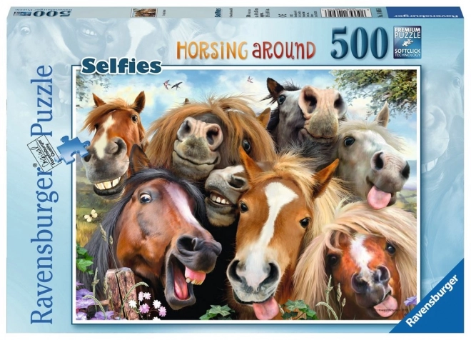 Met paarden 500 stukjes