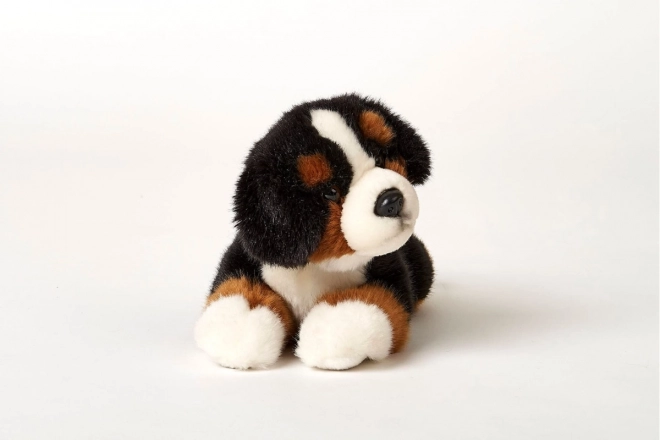 Pluche Berner Sennenhond 25 cm