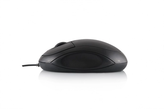 Optische muis verbonden Logic LM-11