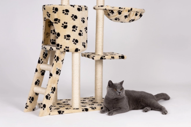 Klimboom voor katten, huisje, boom, bed, 138cm xl, Pootafdrukprints