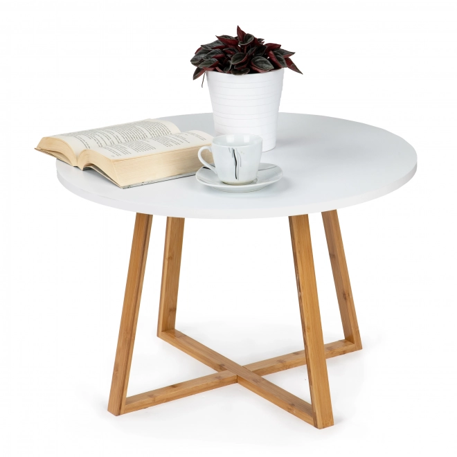 Moderne Scandinavische salontafel