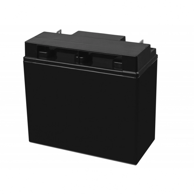 Oplaadbare AGM VRLA Green Cell AGM10 12V 20Ah batterij (voor grasmaaiers, boten, motoren, voertuigen)