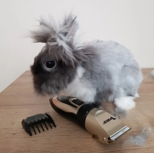 Trimmer voor honden - set