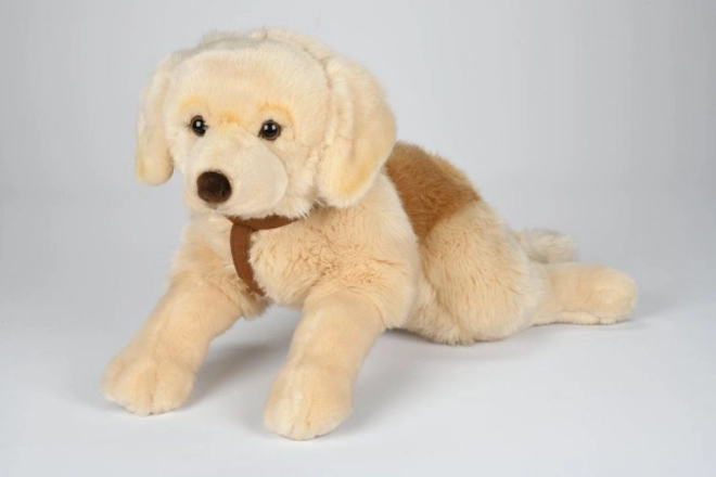 Knuffelachtige retriever om mee te knuffelen