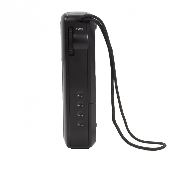 Zakradio Aiwa RS-33
