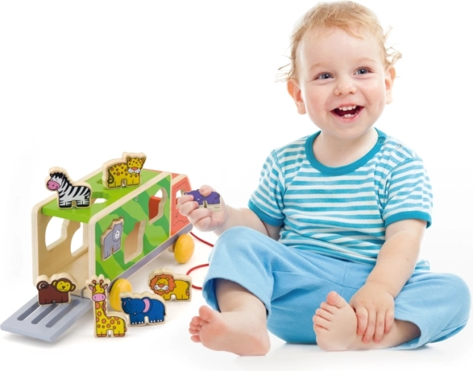 Ontwikkeling van motoriek en coördinatie