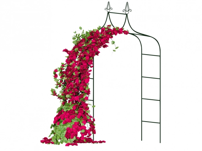 Tuinpergola voor rozen