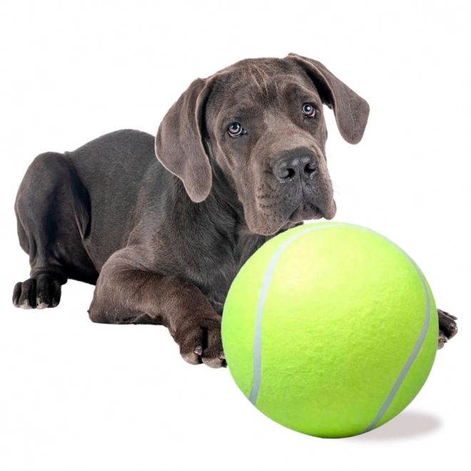 Grote tennisbal voor honden