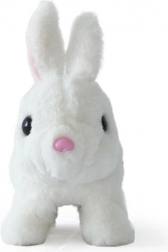 Schattige metgezel voor elke dag