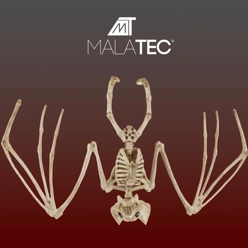 Vleermuis skelet - decoratie 30 cm Malatec