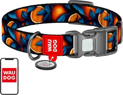 Waudog hondenhalsband "Oranges" van nylon met QR-code, maat XL