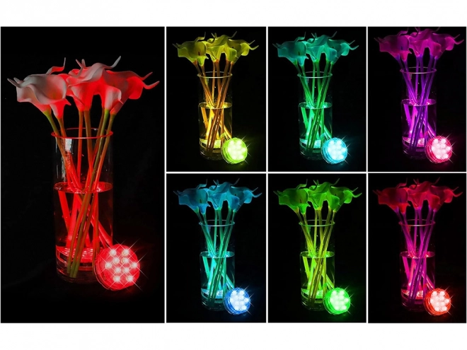 Onderwater LED-licht met RGB afstandsbediening