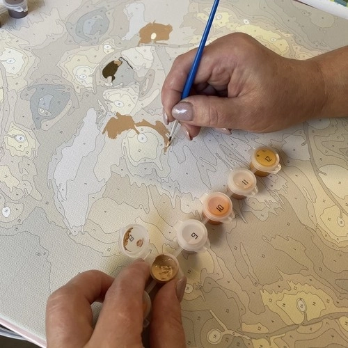 Eenvoudig schilderen dankzij genummerde vakjes