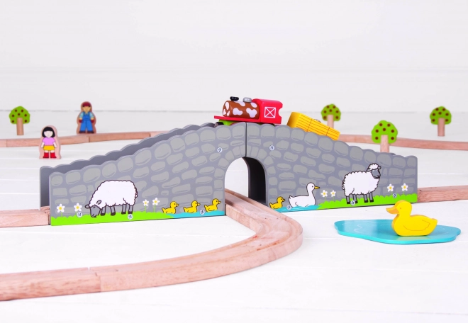 Bigjigs Rail Boerderijbrug met tunnel