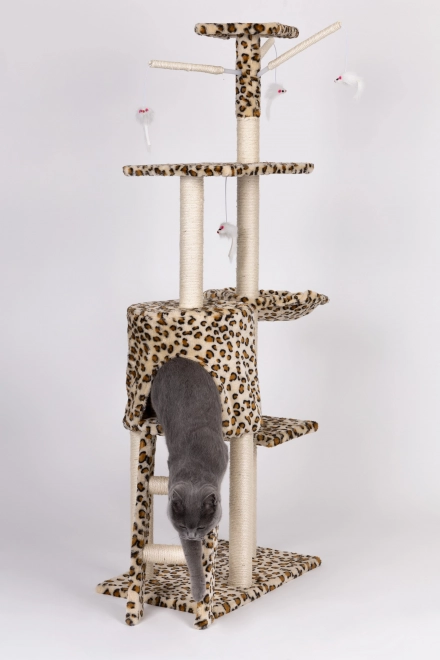 Kattenkrabpaal, huisje, boom, ligplaats, 138cm xl, Panther