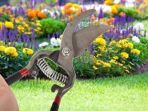 Tuinscharen voor heggen van gesmeed staal