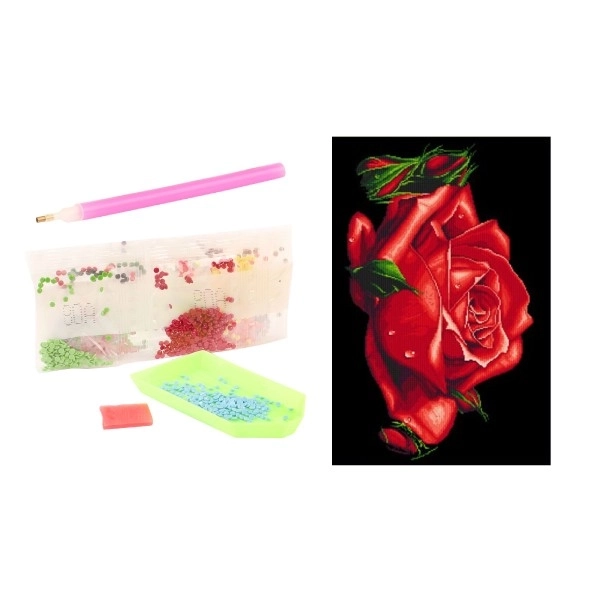 Diamant schilderen met accessoires 13 x 22 cm