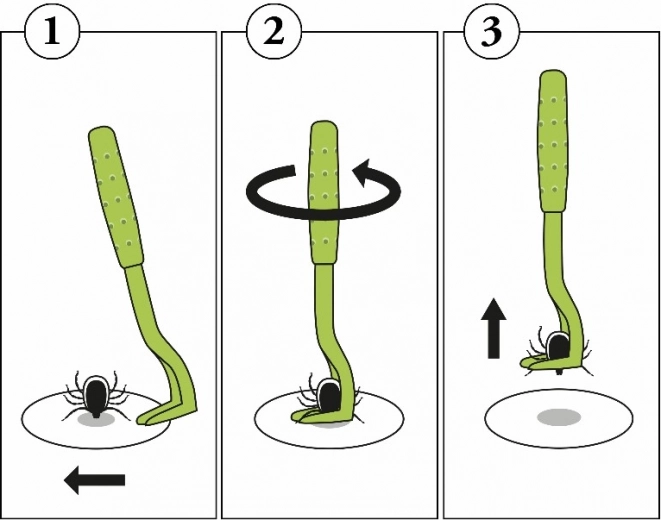 Eenvoudige stapsgewijze methode