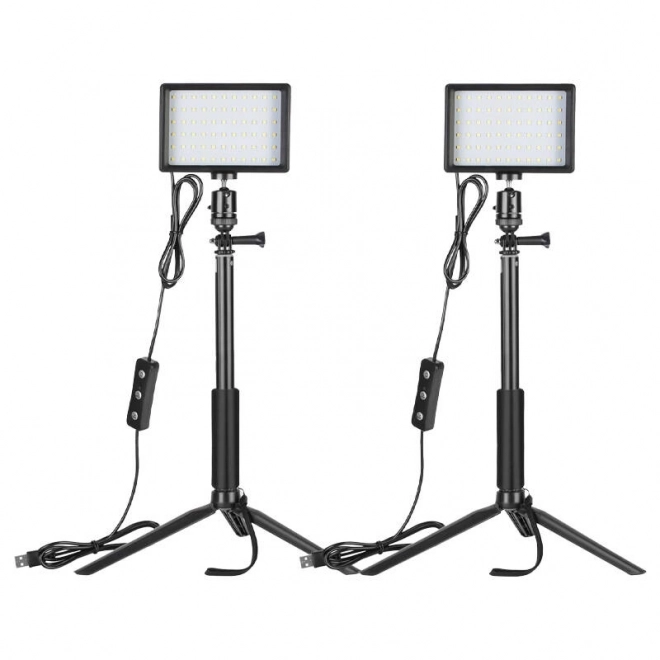 Studio set Neewer twee LED lampen met filters en statieven