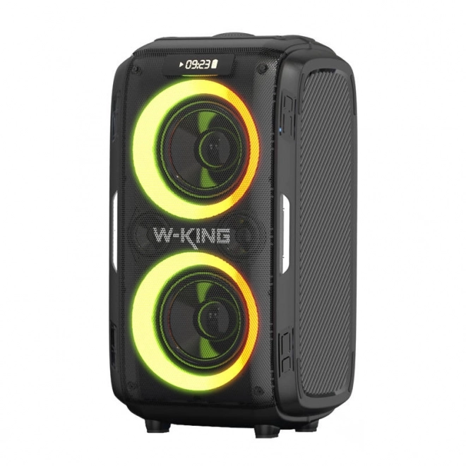 Draadloze Bluetooth-luidspreker W-KING T9 Pro 120W (zwart)