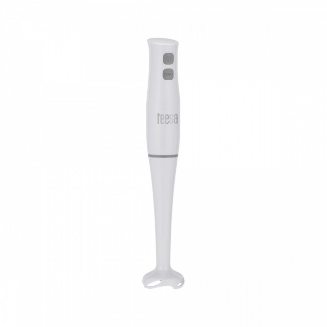 Staafmixer Teesa 400W
