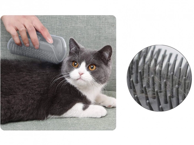 Hoekkam Borstel voor Katten met Catnip