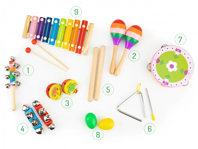 Muziekset 14 instrumenten + tas Ecotoys