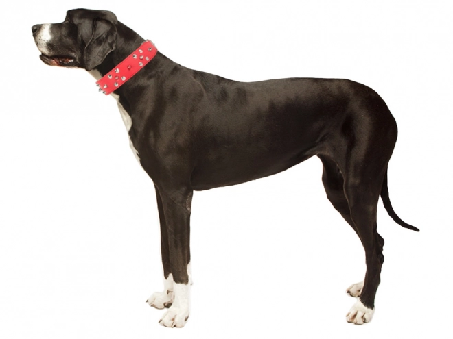 Verstelbare halsband voor honden met studs van ecologisch leer