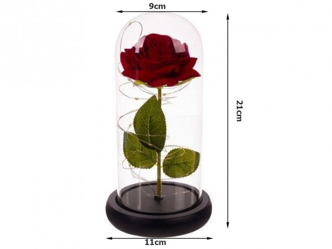 Eeuwige roos in glas met LED-verlichting