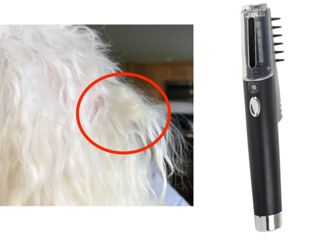 Elektrische kam voor honden en katten