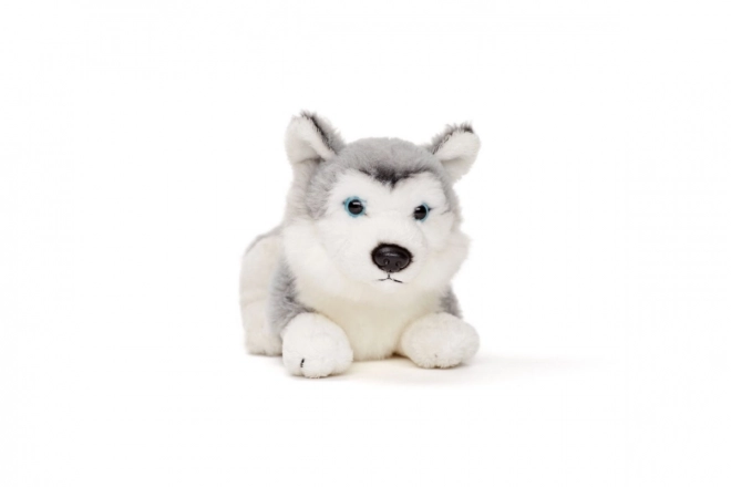 Pluchen husky 15 cm