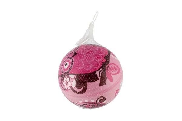 Opgeblazen uil vinyl bal diameter 22cm in net