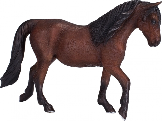 Morgan Palomino Paard
